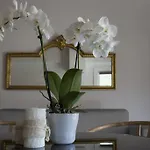Orchidea Holiday home *