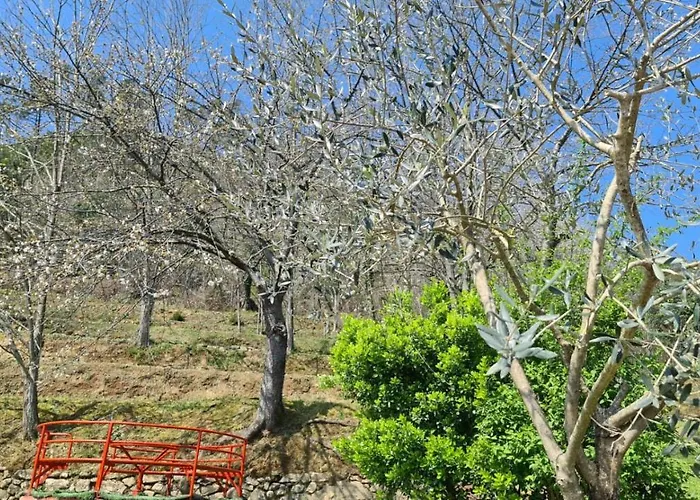 Сasa de vacaciones Orchidea