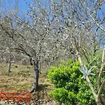 Ferienhaus Orchidea