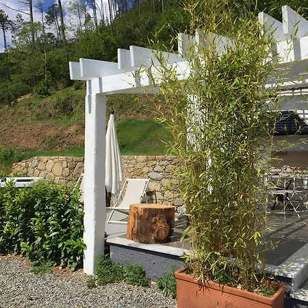 Holiday home Orchidea *