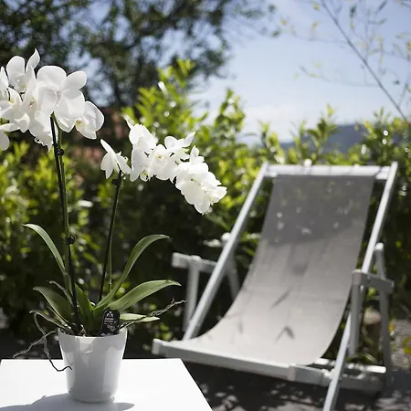 Orchidea Holiday home