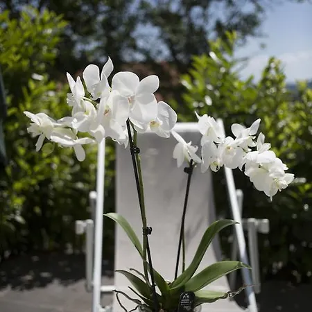 Holiday home Orchidea *