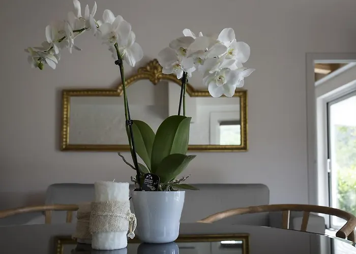 Orchidea Semesterbostad *
